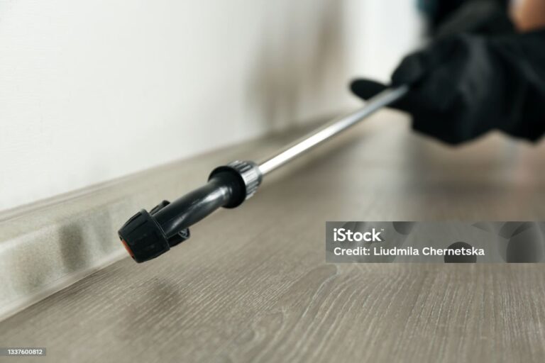 富山県黒部市のお客様